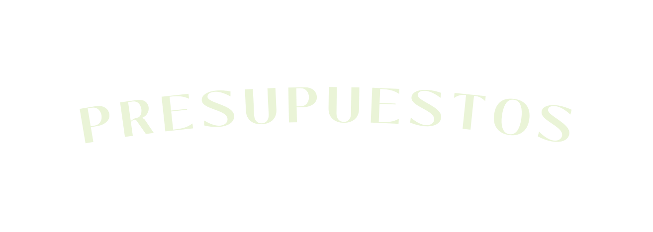P R E S U P U E S T O S
