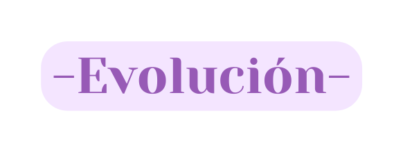 Evolución